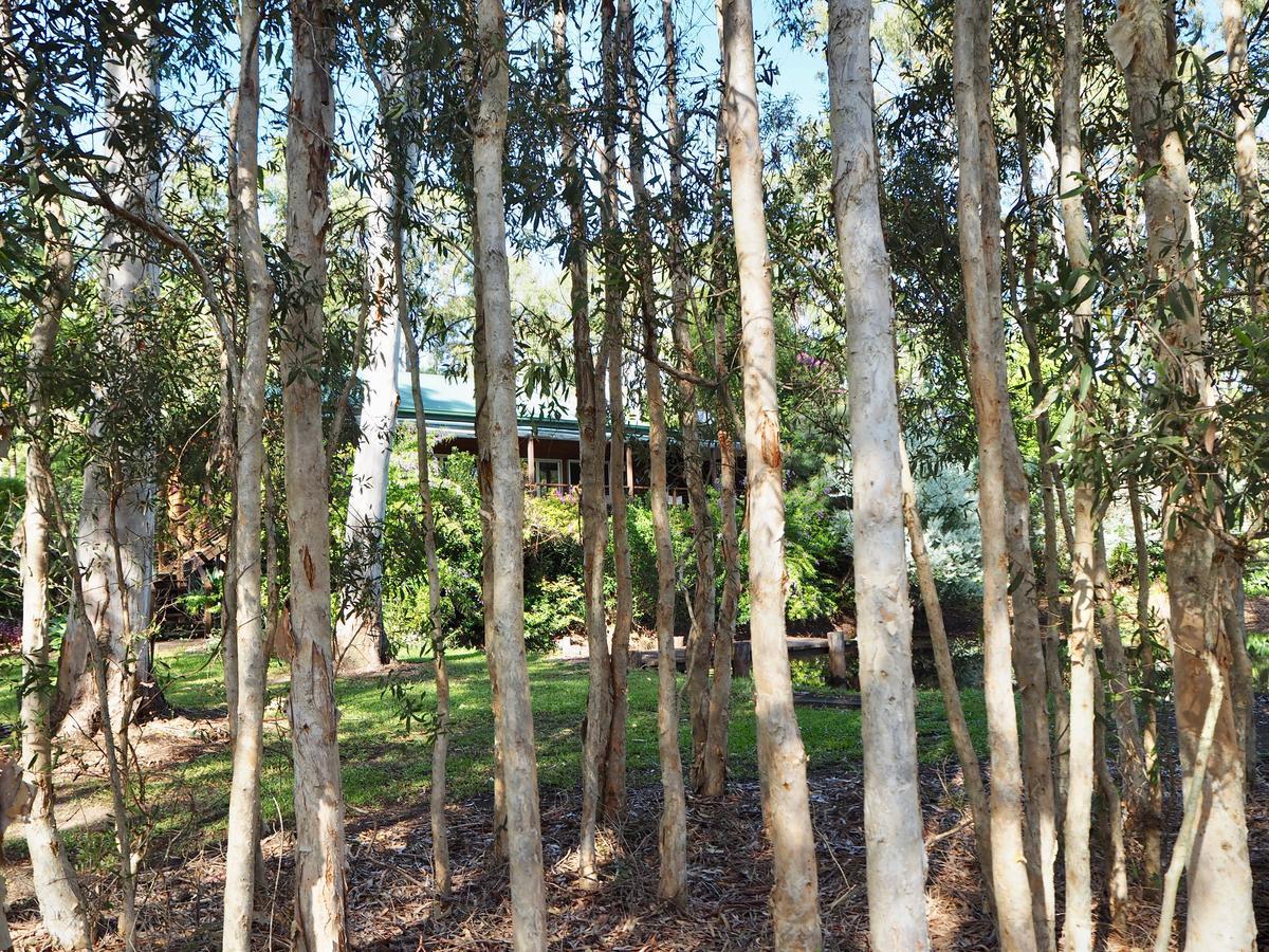 Lake Weyba Cottages Noosa Peregian Beach Εξωτερικό φωτογραφία